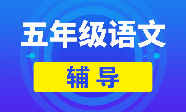 武汉小学五年级语文辅导