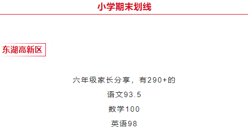 武汉市多区2024年小学期末/元调考试成绩划线出炉