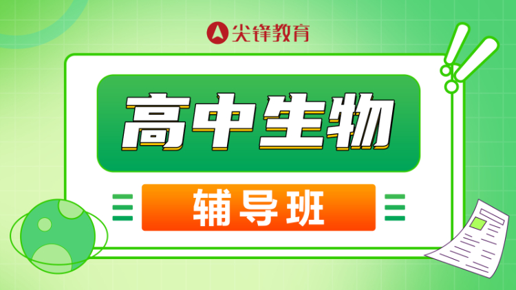 武汉高中生物培训班有哪些？培训课程包含哪些内容？