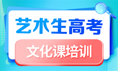 艺术生高考文化课冲刺培训