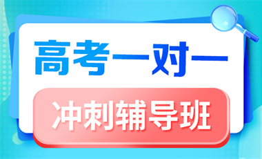 高考一对一冲刺辅导班